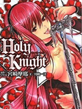 holy knight